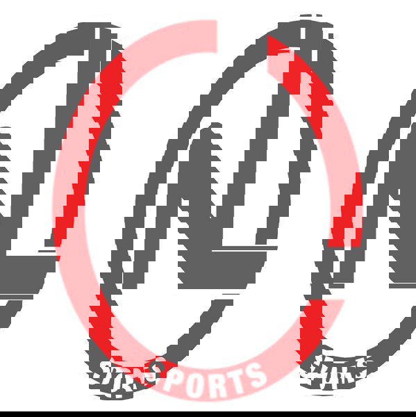 Sports Next Level logo